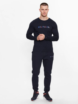 náhled Tommy Hilfiger pánské tmavě modré triko