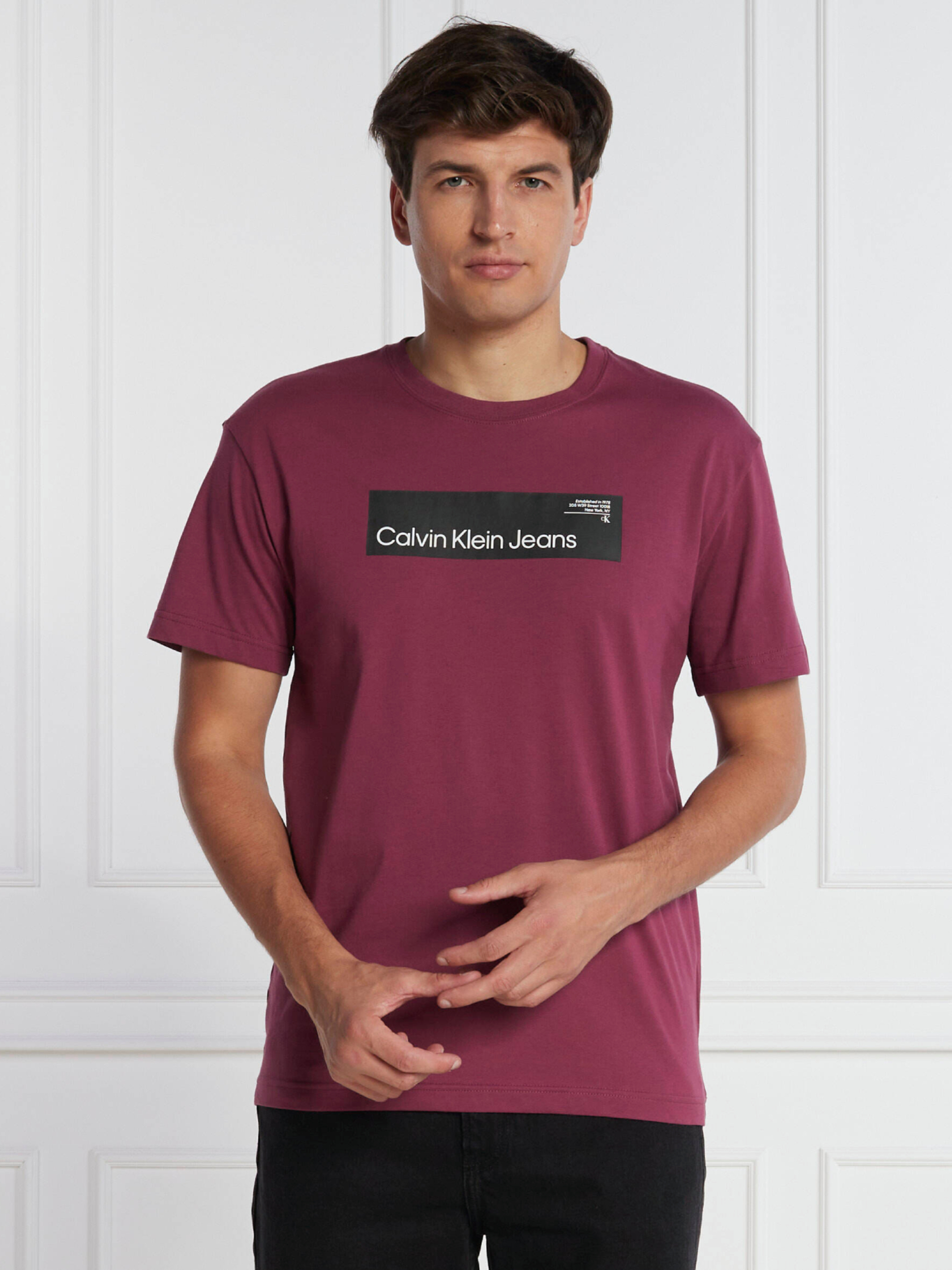 Calvin Klein pánské fialové tričko - XL (VAC)