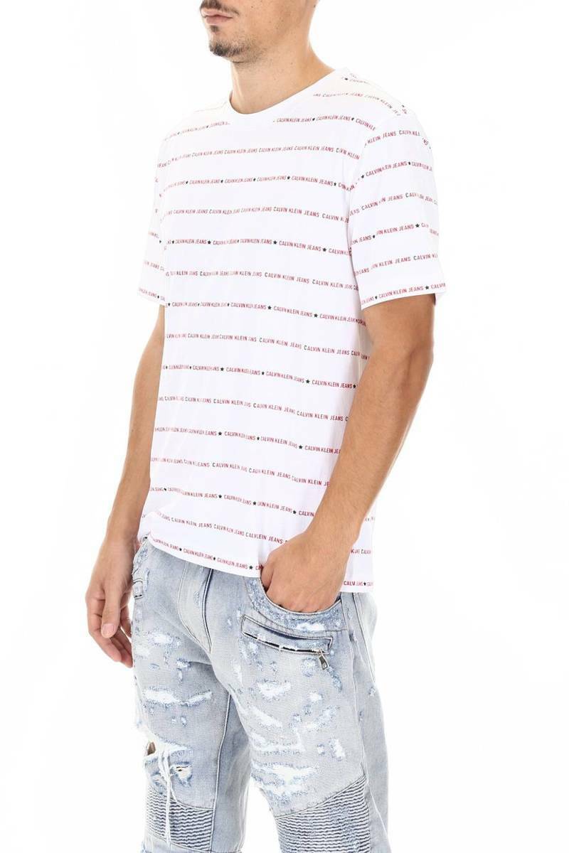Calvin Klein pánské bílé tričko Institutional - M (901)