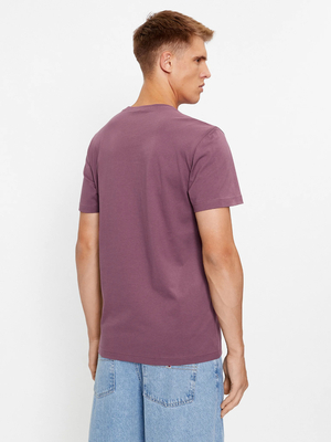 Calvin Klein pánské fialové tričko - L (VAC)