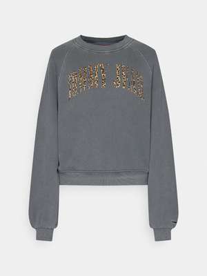 Tommy Jeans dámská šedá mikina LEO CREW - S (PUB)
