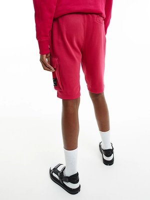 Calvin Klein pánské růžové šortky - S (XAP)