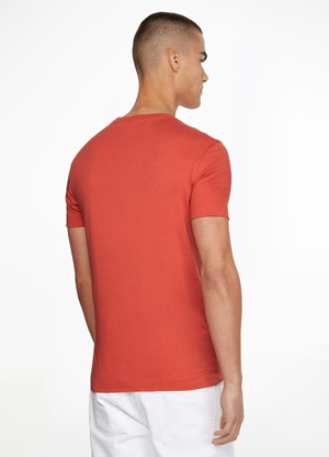 Calvin Klein pánské cihlové tričko - L (XLV)