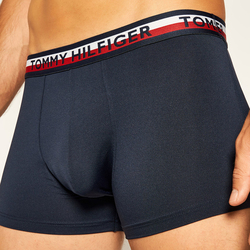 Tommy Hilfiger pánské boxerky 2pack - S (0SQ)