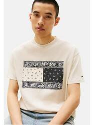 Tommy Jeans pánské béžové tričko - L (ACG)