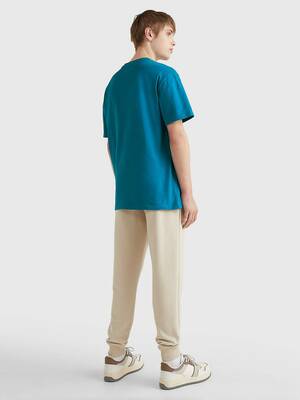 Tommy Jeans pánské modré tričko SIGNATURE - L (C22)