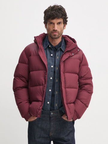 Tommy Hilfiger pánská vínová bunda