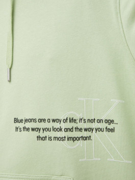 náhled Calvin Klein pánská světle zelená mikina.