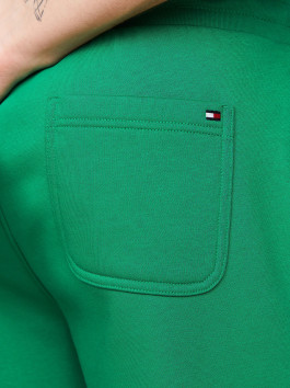 náhled Tommy Hilfiger pánské zelené šortky