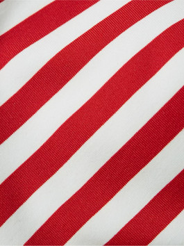 náhled Tommy Hilfiger dámská pruhovaná plavková podprsenka