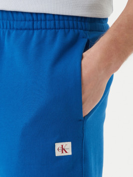 náhled Calvin Klein pánské modré šortky