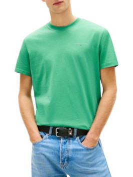 náhled Tommy Jeans pánské zelené tričko